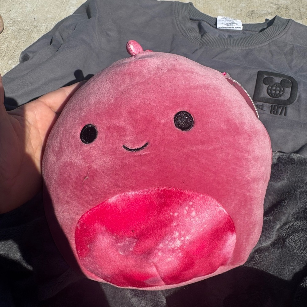 Squishmallows Pink Plush Spherical Stuffed Animal